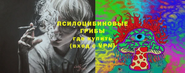 синтетический гашиш Белокуриха