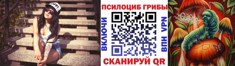 Купить  Дзержинский  Галлюциногенные грибы ЛСД 